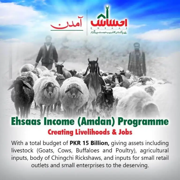 ehsaas amdan apply online